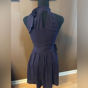 Express Deep Purple Chiffon Dress